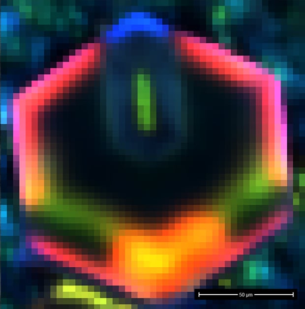 高光谱假色RGB 阴极发光图