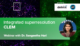 Superresolution correlative microscopy
