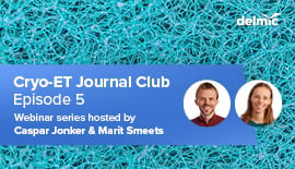 Delmic Cryo-ET Journal Club Series (E5) : Using cryo-ET to reveal the molecular architecture of neuronal α-Synuclein inclusions