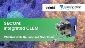 Integrated CLEM
